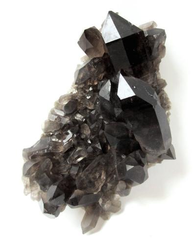 Quartz (variety smoky)<br />Ferret Valley, Les Grandes Jorasses Massif, Courmayeur, Aosta Valley (Val d'Aosta), Italy<br />Specimen height 14 cm, largest smoky quartz crystal 6,5 cm<br /> (Author: Tobi)