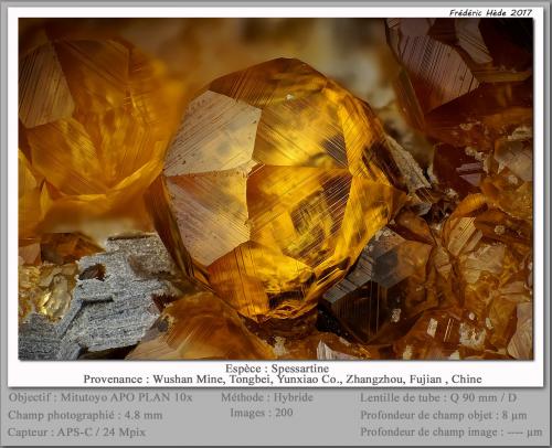 Spessartine<br />Catas Spessartina Wushan, Tongbei, Yunxiao, Prefectura Zhangzhou, Provincia Fujian, China<br />fov 4.8 mm<br /> (Author: ploum)