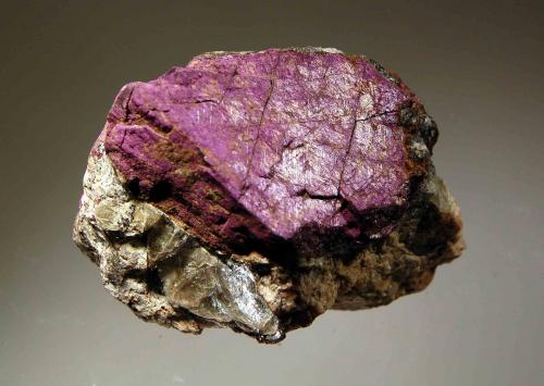 Heterosite<br />White Elephant Mine, Cicero Peak, Pringle, Custer District, Custer County, South Dakota, USA<br />4.8 x 6.6 cm<br /> (Author: crosstimber)