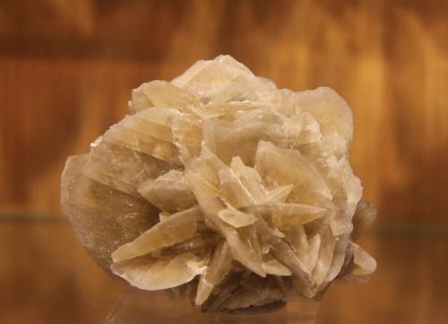 Gypsum<br />Villalbilla, Comarca Cuenca del Henares, Community of Madrid, Spain<br />63 mm x 48 mm x 42 mm<br /> (Author: franjungle)