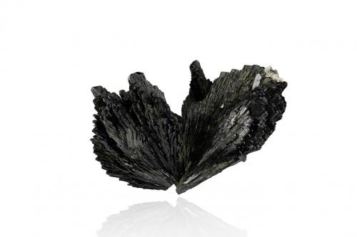 Epidote<br />Concesión Flor de Perú, Monte Ullpac, Distrito Huancano, Provincia Pisco, Departamento Ica, Perú<br />15.0	x 9.0 x 10.0 cm<br /> (Author: MIM Museum)