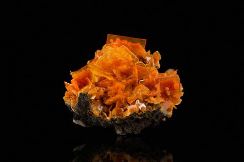 Wulfenite with Mimetite<br />Mina San Francisco, Cerro Prieto, Cucurpe, Municipio Cucurpe, Sonora, México<br />10.0	x 7.5 x 7.5 cm<br /> (Author: MIM Museum)