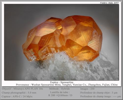 Spessartine<br />Catas Spessartina Wushan, Tongbei, Yunxiao, Prefectura Zhangzhou, Provincia Fujian, China<br />fov 5.0 mm<br /> (Author: ploum)