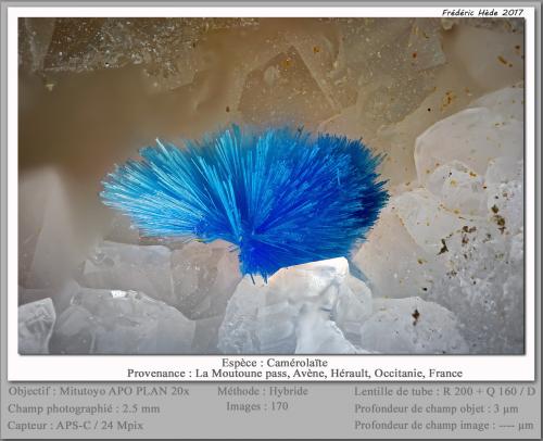 Camerolaïte<br />La Moutoune Pass, Avène, Lunas Canton, Lodève District, Hérault, Occitanie, France<br />fov 2.5 mm<br /> (Author: ploum)