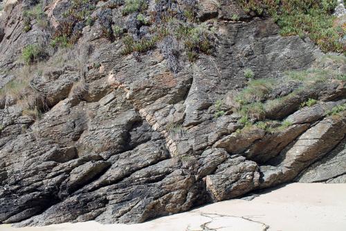 Gneis porfiroblastico<br />Praia Xilloi, O Vicedo, Comarca da Mariña Occidental, Lugo, Galicia / Galiza, España<br />Filon de pegmatita de unos 20 cm de potencia<br /> (Autor: Jesús López)