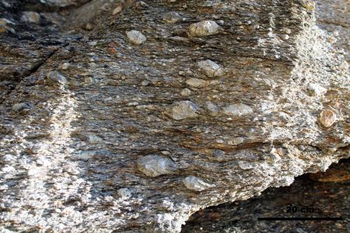 Gneis porfiroblastico<br />Praia Xilloi, O Vicedo, Comarca da Mariña Occidental, Lugo, Galicia / Galiza, España<br />Escala gráfica<br /> (Autor: Jesús López)