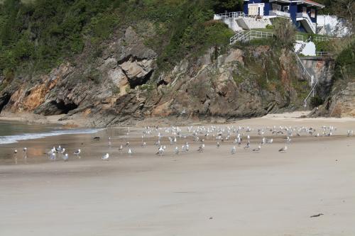 El afloramiento de gneis "ollo de sapo" se encuentra en la margen derecha de la playa. (Autor: Jesús López)