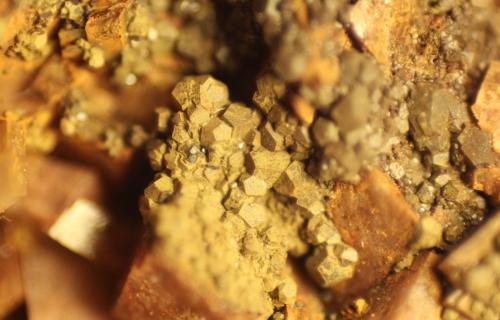 limonite after Pyrite<br />El Almendral Quarry, Road to Berja, Berja, Comarca Poniente Almeriense, Almería, Andalusia, Spain<br />FOV 7 mm<br /> (Author: franjungle)