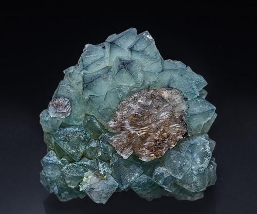 Fluorite<br />Heson Mine (Hesson Mine), Buckskin Mountains, La Paz County, Arizona, USA<br />5.4 x 5.2 cm<br /> (Author: am mizunaka)