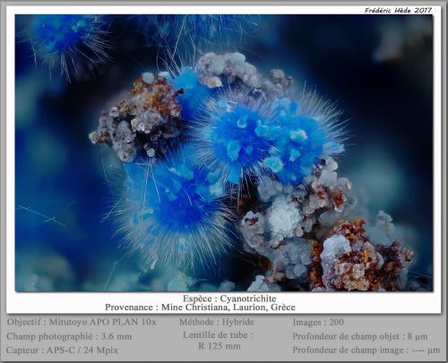 Cyanotrichite<br />Christiana Mine, Kamariza Mines, Agios Konstantinos, Lavrion Mining District, Attikí (Attica) Prefecture, Greece<br />fov 3.6 mm<br /> (Author: ploum)