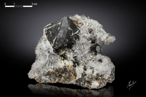 Magnetite with Olshanskyite and Roweite<br />Shijiangshan Mine, Yinwu, Linxi, Ulanhad League, Inner Mongolia Autonomous Region, China<br />94 X 78 mm<br /> (Author: Manuel Mesa)