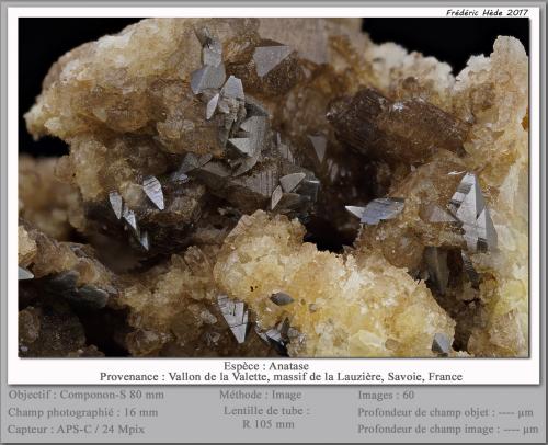 Anatase<br />Vallon de la Valette, Macizo La Lauzière, Saint-Jean-de-Maurienne, Saboya, Auvergne-Rhône-Alpes, Francia<br />fov 16 mm<br /> (Author: ploum)