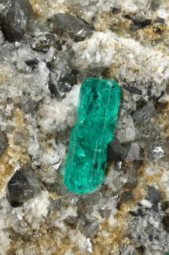 Beryl (variety emerald), Albite (variety cleavelandite), Calcite, Dolomite, Pyrite<br />Chivor mining district, Municipio Chivor, Eastern Emerald Belt, Boyacá Department, Colombia<br />72x71x23mm, xl=14mm<br /> (Author: Fiebre Verde)