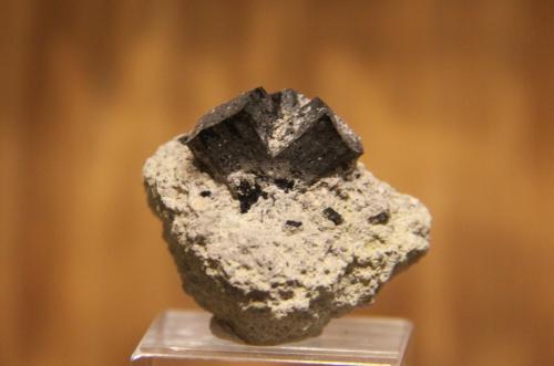 Ferro-hornblende<br />Watchtower del Rayo, Punta del Rayo, Carboneras, Comarca Levante Almeriense, Almería, Andalusia, Spain<br />33mm x 35mm x 32mm<br /> (Author: franjungle)