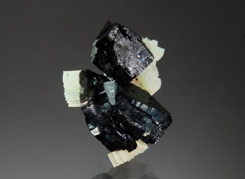 Babingtonite<br />Lane Quarry, Westfield, Hampden County, Massachusetts, USA<br />1.9 x 2.5 cm<br /> (Author: crosstimber)