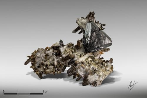 Sphalerite with Quartz<br />Borieva Mine, Madan mining area, Rhodope Mountains, Smolyan Oblast, Bulgaria<br />65 x 50 mm<br /> (Author: Manuel Mesa)