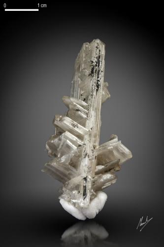 Cerussite<br />Tsumeb Mine, Tsumeb, Otjikoto Region, Namibia<br />55 x 41 mm<br /> (Author: Manuel Mesa)