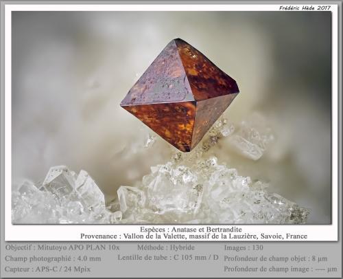 Anatase<br />Vallon de la Valette, Macizo La Lauzière, Saint-Jean-de-Maurienne, Saboya, Auvergne-Rhône-Alpes, Francia<br />fov 4 mm<br /> (Author: ploum)