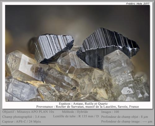 Anatase<br />Rocher de Sarvatan, Macizo La Lauzière, Saint-Jean-de-Maurienne, Saboya, Auvergne-Rhône-Alpes, Francia<br />fov 3.4 mm<br /> (Author: ploum)