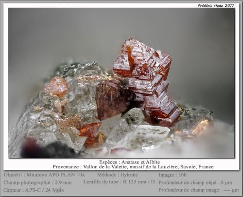 Anatase<br />Vallon de la Valette, Macizo La Lauzière, Saint-Jean-de-Maurienne, Saboya, Auvergne-Rhône-Alpes, Francia<br />fov 2.9 mm<br /> (Author: ploum)
