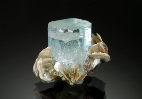 Beryl (variety aquamarine)<br />Nagar, Hunza Valley, Nagar District, Gilgit-Baltistan (Northern Areas), Pakistan<br />2.5 x 3.5 cm<br /> (Author: crosstimber)