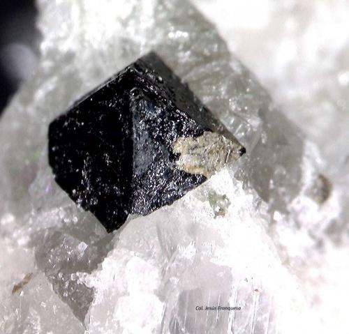 Perovskita<br />Magnet Cove, Condado Hot Spring, Arkansas, USA<br />1´119 x 1´207 mm.<br /> (Autor: Jesus Franquesa Baucells)