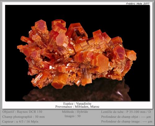 Vanadinite<br />Mibladen (distrito minero Mibladen), Midelt, Provincia Midelt, Región Drâa-Tafilalet, Marruecos<br />fov 50 mm<br /> (Author: ploum)