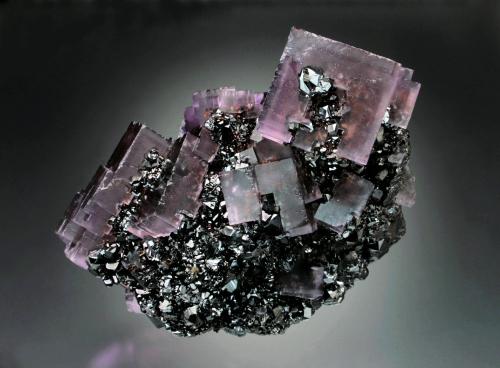 Fluorite on Sphalerite<br />Denton Mine, Goose Creek Mine group, Harris Creek Sub-District, Hardin County, Illinois, USA<br />12x12x6 cm overall size<br /> (Author: Jesse Fisher)