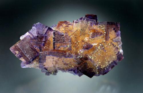 Fluorite with Chalcopyrite<br />Denton Mine, Goose Creek Mine group, Harris Creek Sub-District, Hardin County, Illinois, USA<br />15x6x5 cm overall size<br /> (Author: Jesse Fisher)