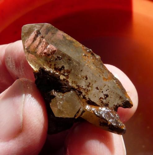 Quartz<br />Ceres, Warmbokkeveld Valley, Ceres, Valle Warmbokkeveld, Witzenberg, Cape Winelands, Provincia Occidental del Cabo, Sudáfrica<br />Fingers for size<br /> (Author: Pierre Joubert)