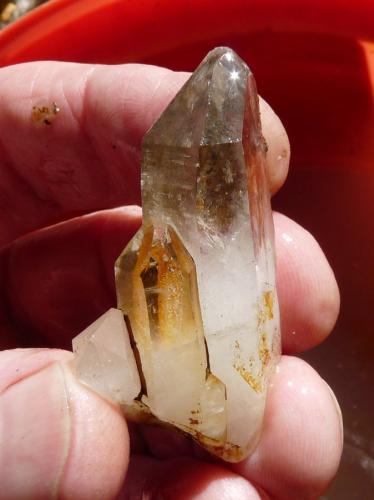 Quartz<br />Ceres, Warmbokkeveld Valley, Ceres, Valle Warmbokkeveld, Witzenberg, Cape Winelands, Provincia Occidental del Cabo, Sudáfrica<br />Fingers for size<br /> (Author: Pierre Joubert)