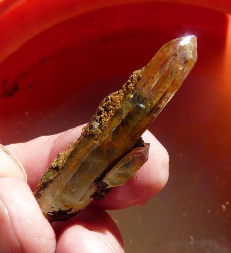 Quartz<br />Ceres, Warmbokkeveld Valley, Ceres, Valle Warmbokkeveld, Witzenberg, Cape Winelands, Provincia Occidental del Cabo, Sudáfrica<br />Fingers for size<br /> (Author: Pierre Joubert)