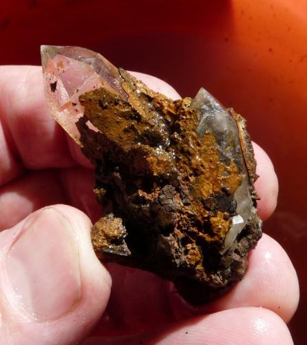 Quartz<br />Ceres, Warmbokkeveld Valley, Ceres, Valle Warmbokkeveld, Witzenberg, Cape Winelands, Western Cape Province, South Africa<br />Hand for size.<br /> (Author: Pierre Joubert)