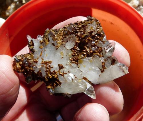 Quartz<br />Ceres, Warmbokkeveld Valley, Ceres, Valle Warmbokkeveld, Witzenberg, Cape Winelands, Western Cape Province, South Africa<br />Hand for size.<br /> (Author: Pierre Joubert)