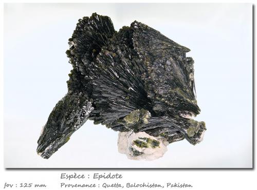 Epidote<br />Raywoo Mine, Quetta District, Balochistan (Baluchistan), Pakistan<br />fov 125 mm<br /> (Author: ploum)