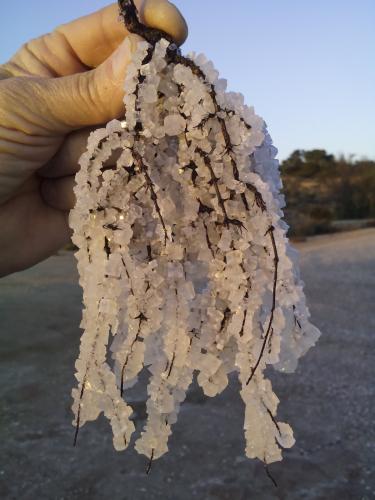 Halita<br />Cerro de la Sal, El Pinós/Pinoso, Comarca Vinalopó Medio, Alicante / Alacant, Comunidad Valenciana / Comunitat Valenciana, España<br />cristales de unos 5mm<br /> (Autor: Jose Luis Jara)