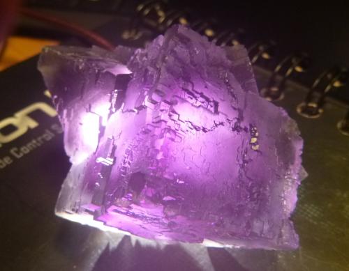 Fluorite.<br />La Viesca Mine, La Collada mining area, Huergo, Siero, Comarca Oviedo, Principality of Asturias (Asturias), Spain<br />Main crystal: 40mm x 40mm x 40mm<br /> (Author: franjungle)