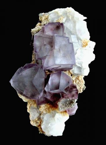 Fluorite, Quartz<br />Yaogangxian Mine, Yizhang, Chenzhou Prefecture, Hunan Province, China<br />Specimen size 12 cm, largest fluorite crystal 2,5 cm<br /> (Author: Tobi)