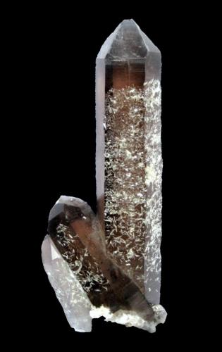 Smoky Quartz, Bertrandite<br />Kara-Oba, Desierto Betpak-Dala (Bet-Pak-Dala), Región Karaganda, Kazajstán<br />Specimen size 13 cm<br /> (Author: Tobi)