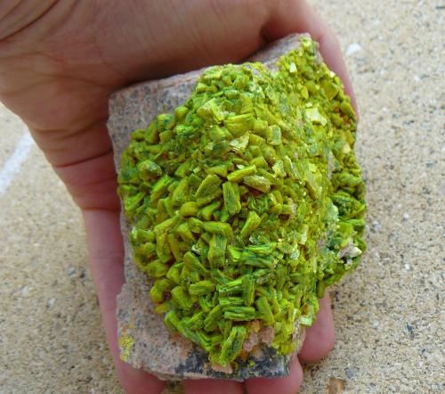 Autunite<br />Les Oudots Quarry, Grury, Issy-l'Evêque, Autun District, Saône-et-Loire, Bourgogne-Franche-Comté, France<br />10 x 5 x 5cm<br /> (Author: Benj)