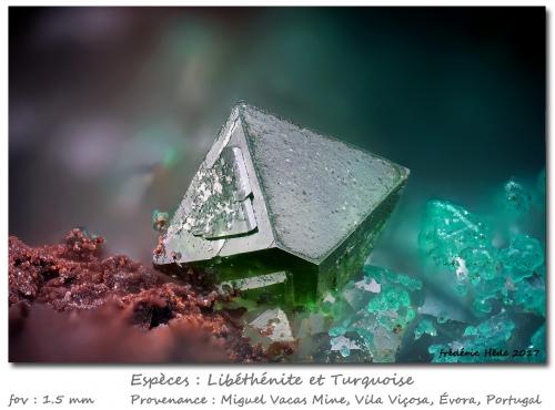 Libethenite and Turquoise<br />Miguel Vacas Mine, Pardais and Conceição Parish, Vila Viçosa, Évora District, Alentejo Central Province, Alentejo Region, Portugal<br />fov 1.5 mm<br /> (Author: ploum)