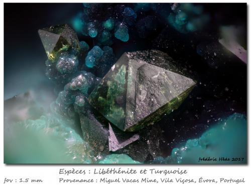 Libethenite and Turquoise<br />Miguel Vacas Mine, Pardais and Conceição Parish, Vila Viçosa, Évora District, Alentejo Central Province, Alentejo Region, Portugal<br />fov 1.5 mm<br /> (Author: ploum)