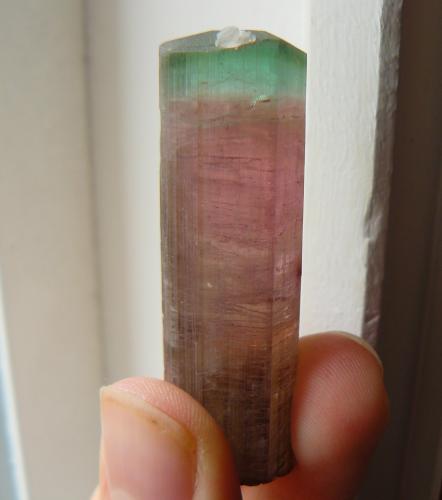 Elbaïte<br />Himalaya Mine, Gem Hill, Mesa Grande District, San Diego County, California, USA<br />5,5 x 1,5 cm<br /> (Author: Benj)