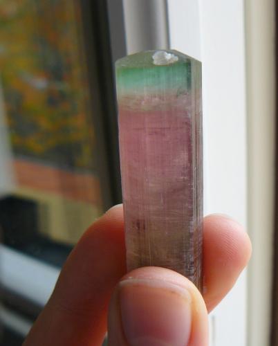 Elbaïte<br />Himalaya Mine, Gem Hill, Mesa Grande District, San Diego County, California, USA<br />5,5 x 1,5 cm<br /> (Author: Benj)