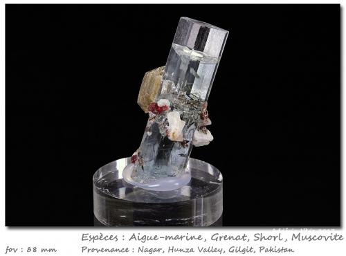 Beryl (variety aquamarine), Garnet, Tourmaline, Muscovite<br />Nagar, Valle Hunza, Distrito Nagar, Gilgit-Baltistan (Áreas del Norte), Paquistán<br />fov 88 mm<br /> (Author: ploum)