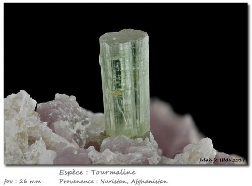 Tourmaline<br />Provincia Nuristan, Afganistán<br />fov 26 mm<br /> (Author: ploum)