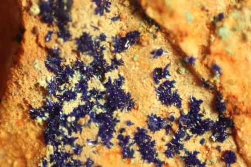 Azurite<br />Reformada Mine, El Pinar de Bédar, Bédar, Comarca Levante Almeriense, Almería, Andalusia, Spain<br />FOV = 29 mm.<br /> (Author: franjungle)