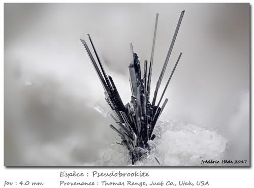 Pseudobrookite<br />Cordillera Thomas, Condado Juab, Utah, USA<br />fov 4.0 mm<br /> (Author: ploum)