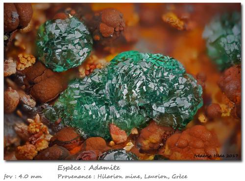Adamite<br />Agios Philippos Mine, Kirki Mines, Prefectura Évros, Departamento Tracia (Thráki), Grecia<br />fov 4.0 mm<br /> (Author: ploum)