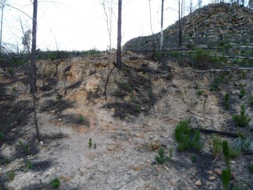 The area where I found the quartz with a black mineral. (Author: Pierre Joubert)